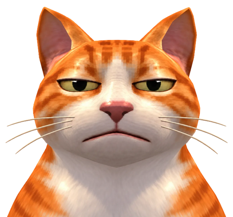Bruh Cat, an orange tabby with half-closed, deeply unimpressed eyes